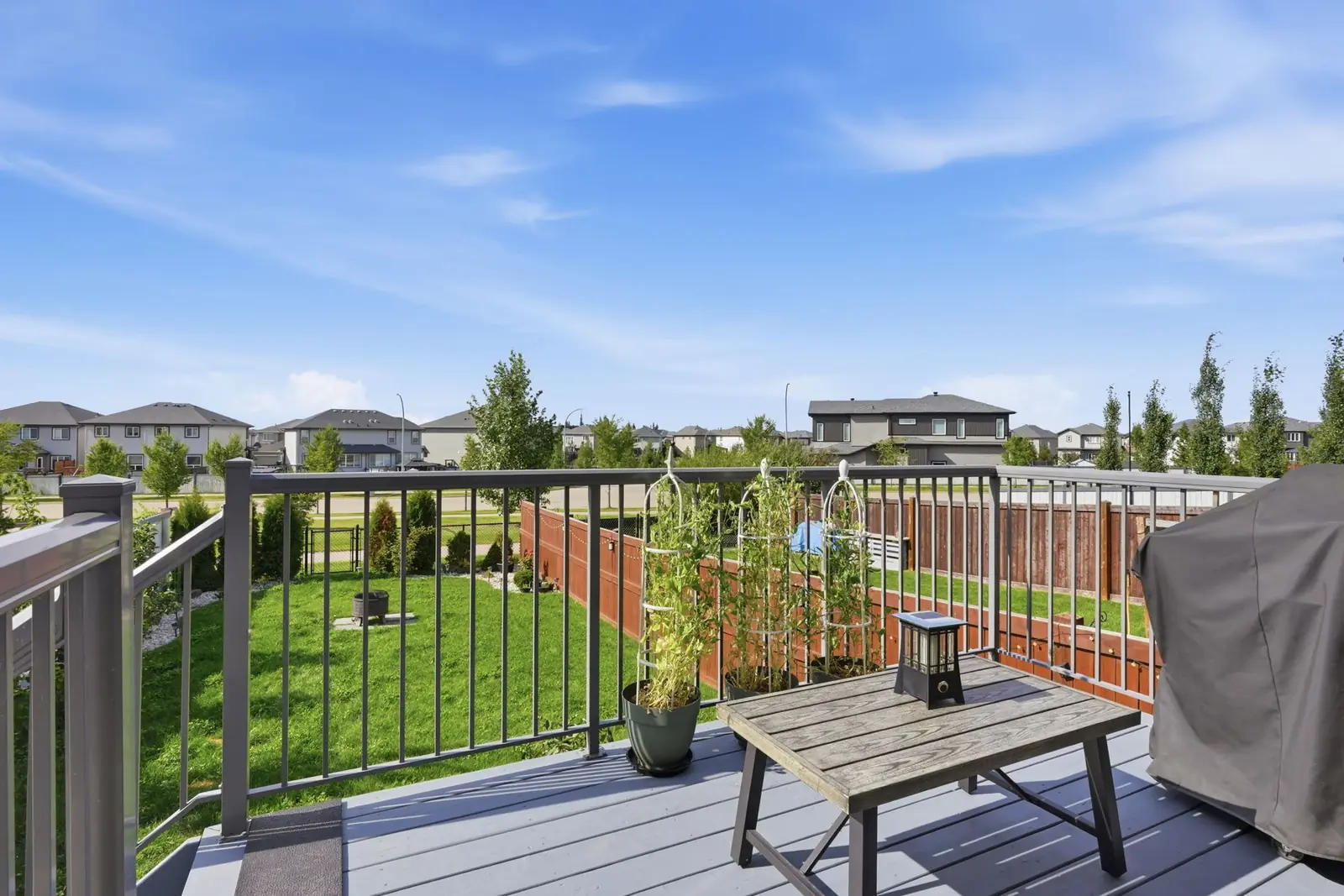 Deck overlooking the fenced backyard and the greenspace beyond